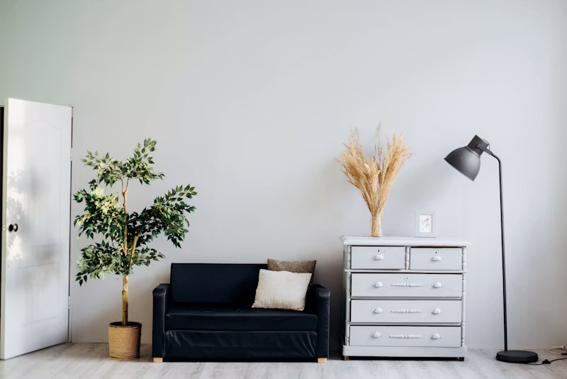 Minimalist Home